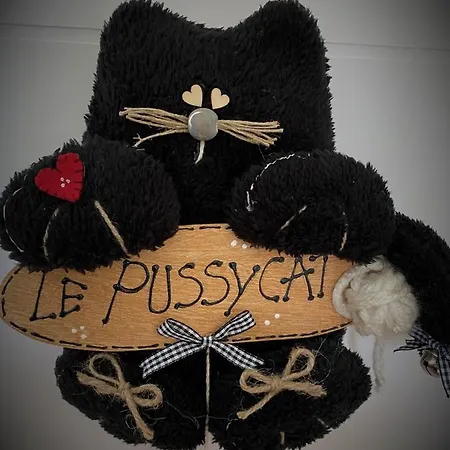 Lepussycat Centre Plein Sud 15mn Lioran Vic-sur-Cère