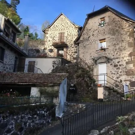Lepussycat Centre Plein Sud 15mn Lioran * Vic-sur-Cère